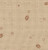 Coffee Print / 36093239