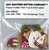 It's Christmas Time Button Pk(9649) / 12-2855.