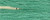 Meadow Green / CCT-021.