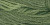 Weeping Willow / CCT-162.