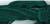 Erin Go Emerald / CCT-165.