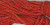 Chili Pepper / CCT-167.