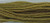 Pea Pod / CCT-183.