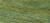 Lemon Grass / CCT-230.