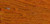 Autumn Spice / CCT-251.