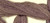 Misty Mauve / CCT-275.