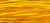 Marigold / W-164.