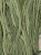 Grassland / W-355.