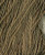 Havana - Pearl Cotton / W5-081.