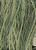 Grassland - Pearl Cotton / W5-083.