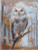 Wildwood Owl / RLA1016