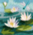 Water Lilies 
 by Rose Swalwell 
 Long Stitch Flowers / BTLSWL