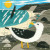 Seagulls - 
 Silken Long Stitch 
 by Matt Johnson / BTSSMJ1
