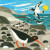 Oyster Catchers - 
 Silken Long Stitch 
 by Matt Johnson / BTSSMJ2