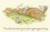 To Young To Stop 
 by Anita Jeram 
 Anita Jeram Collection / BTXAJ21