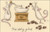 The Daily Grind 
 by Anita Jeram / BTXAJ30