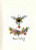 Bee Happy - Greeting Cards 
 by Eleanor Teasdale / BTXGC25