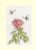 Bee Mine Forever - 
 Thread & Fabric Pack (Kit) - 
 Especially For You Book / BTXGC59TP