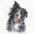 Collie - Hannah Dale / BTXHD10