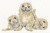Seal Of Approval - Wrendale Designs Collection 
 Hannah Dale Artist / BTXHD131