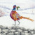 A Festive Flourish - Wrendale Designs 
 by Hannah Dale / BTXHD135