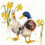 Ducks And Daffs - Hannah Dale / BTXHD6