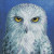 Wisdom - The Menagerie 
 by Rachel Froud / BTXRF12