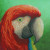 Vision - The Menagerie 
 Original artwork by Rachel Froud / BTXRF14