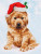 Christmas Lab / NADD510