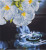 Water Droplets / NADD519