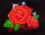 Red Rose Sparkle / NADD52