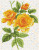 Yellow Rose Bouquet / NADD68