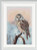 Owl / DSB14A