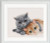 Cat Friends / DSB26A