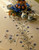 Cornflower Tablecloth / 77124091 WI