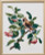 Waxwing / 7712551 WI