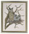 Owl & Babies / 7712648 WI