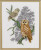 Owl / 7712733 WI