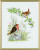 Birds / 7712734 WI