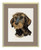 Dachshund / 7712908 WI