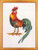 Proud Rooster / 7714123 WI