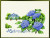 Greenhouse with Flowers / 7792300 WI