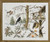 Eating Birds / 7792651 WI