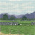 Cumbrian Sheep - Thomas Beutel / HCK1102