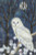 Spirit Guide - 
 by Elaine Serenum / HCK1677