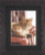 Relaxed Tabby / PN146177