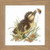 Duckling and Bumblebee 
 by Marjolein Bastin / PN146977