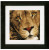 King of Animals / PN154980