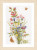 Field Flowers / PN155693