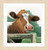 Wondering Cow / PN170989